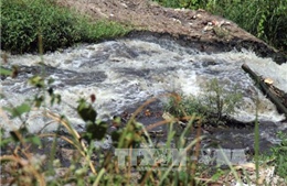 Suối Reo ở Đồng Nai bị ô nhiễm nghiêm trọng